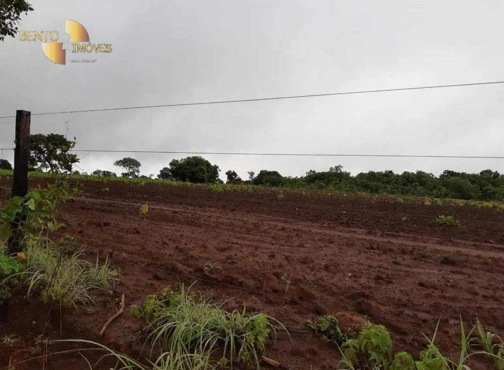 Farm for sale of 3,039 acres in Jangada, MT, Brazil
