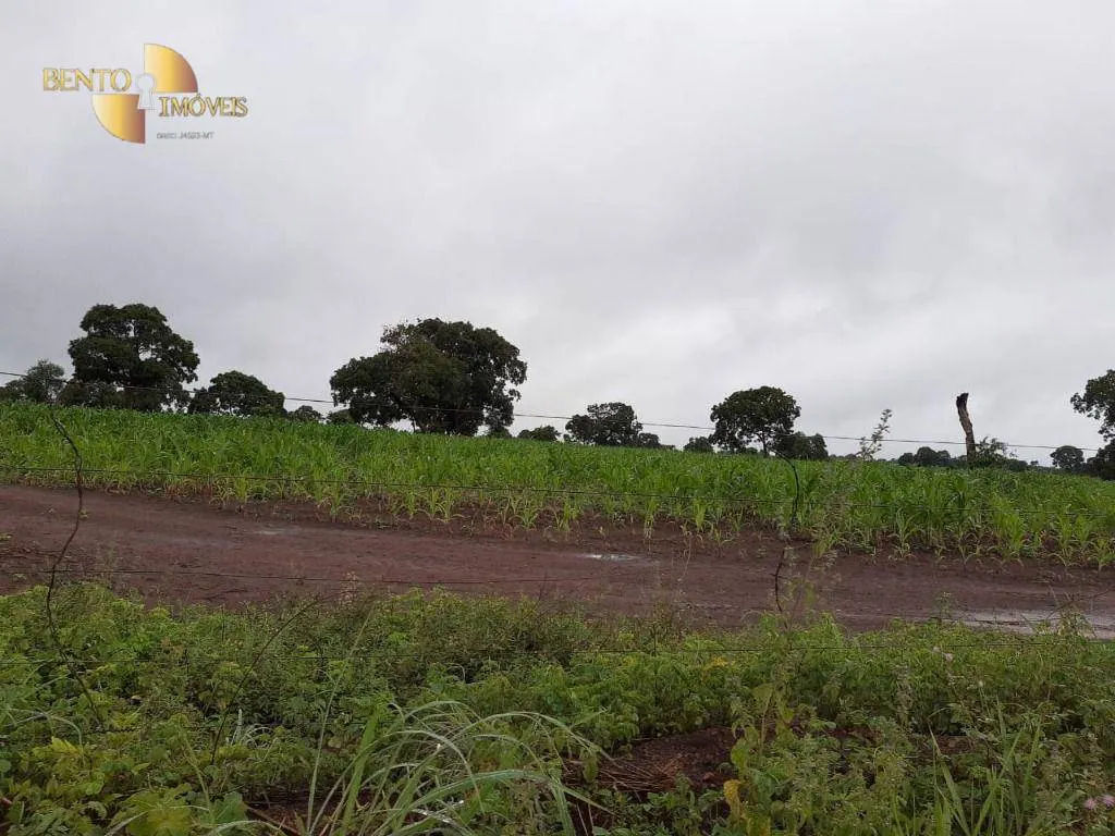 Farm for sale of 3,039 acres in Jangada, MT, Brazil