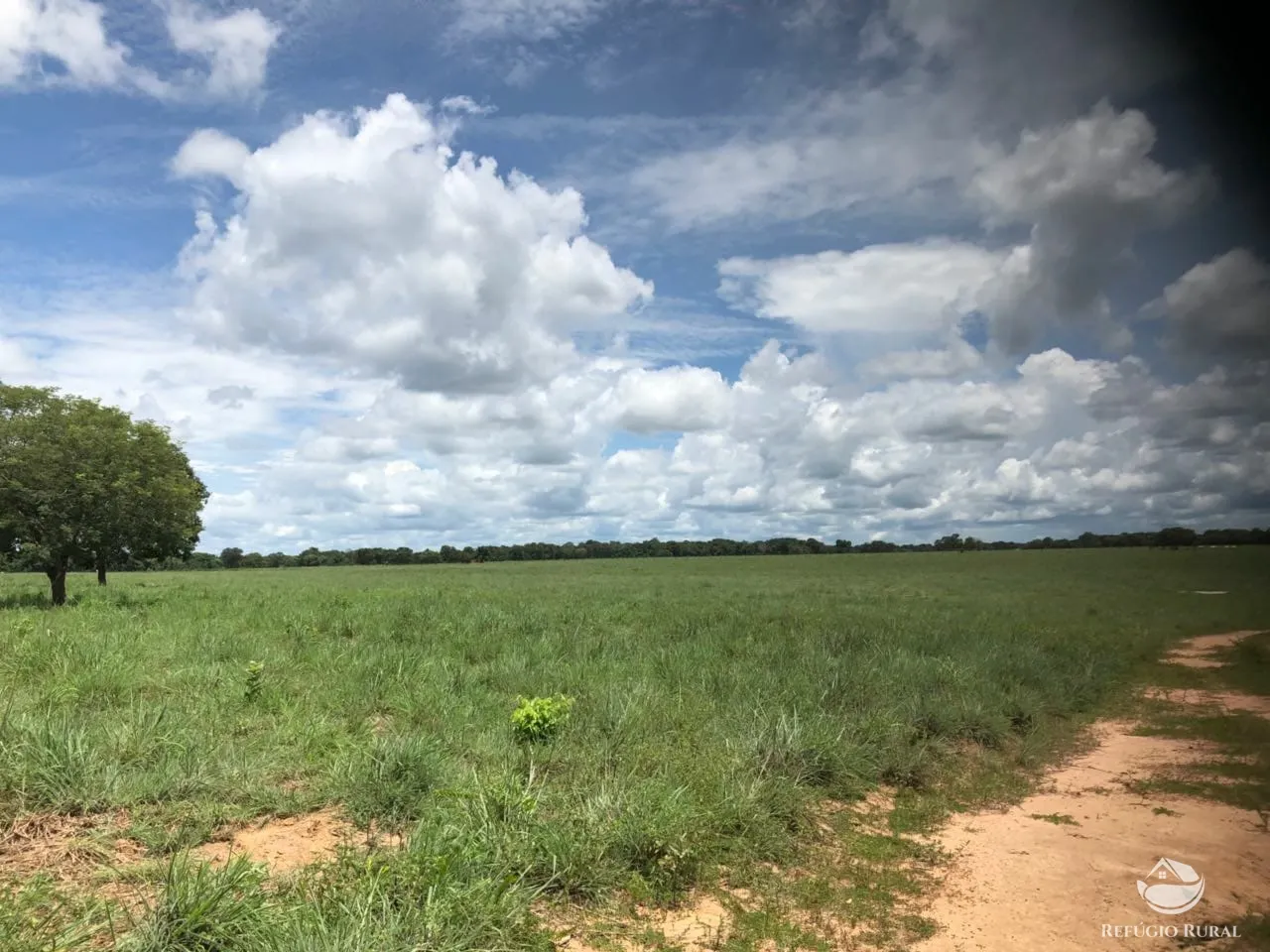 Fazenda à venda e para Arrendar de 3.678 ha em Gurupi, TO, Brasil