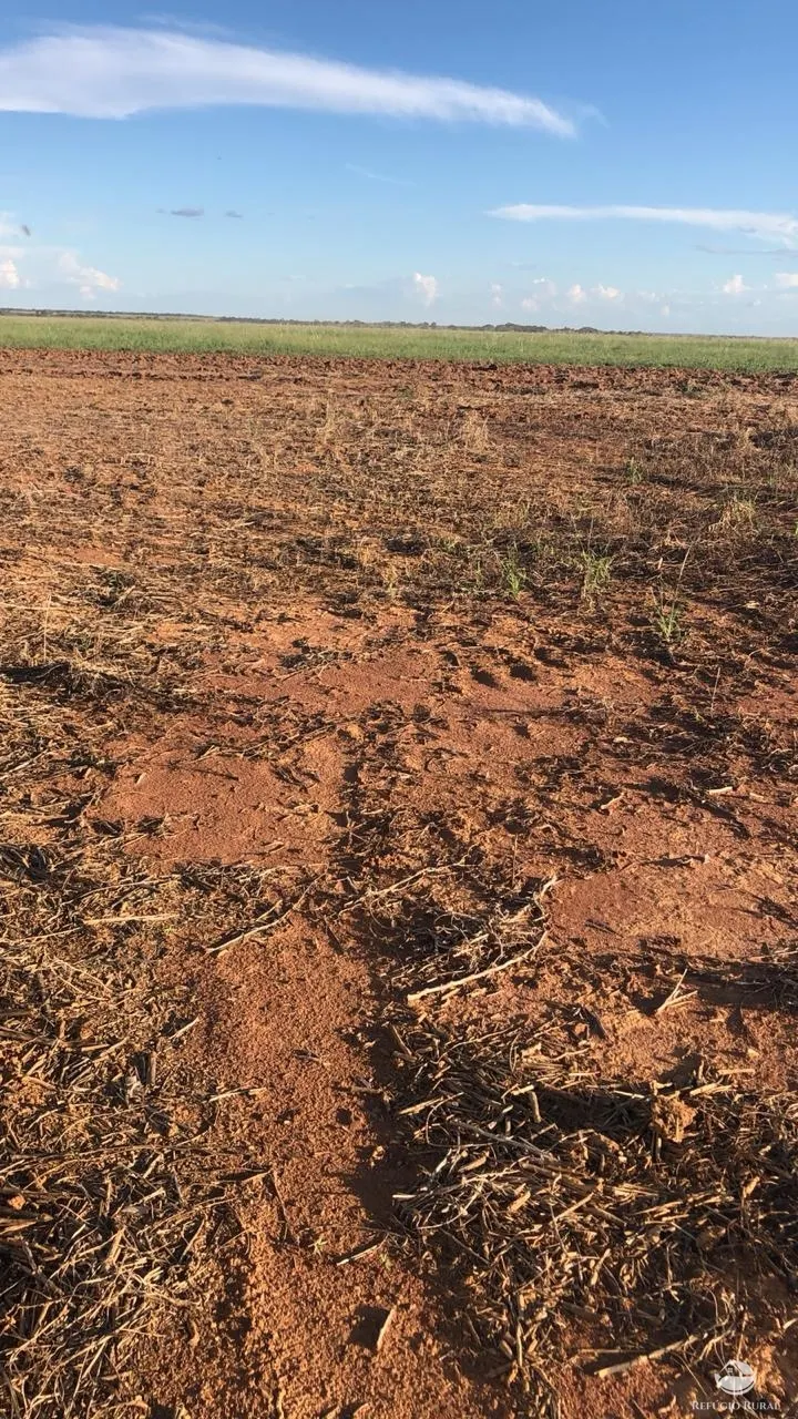 Fazenda à venda e para Arrendar de 3.678 ha em Gurupi, TO, Brasil