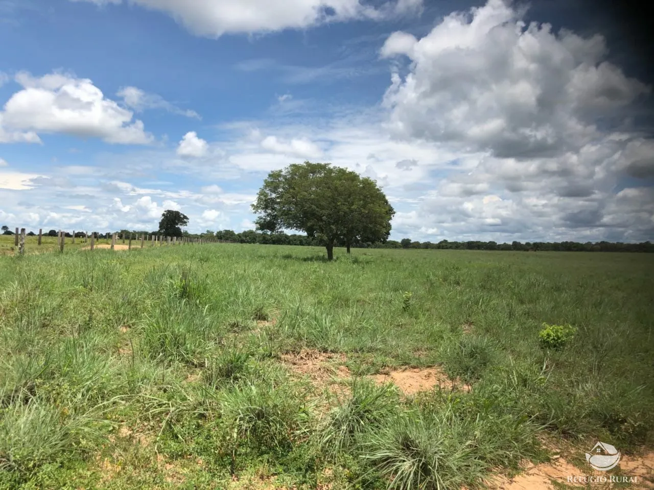 Fazenda à venda e para Arrendar de 3.678 ha em Gurupi, TO, Brasil