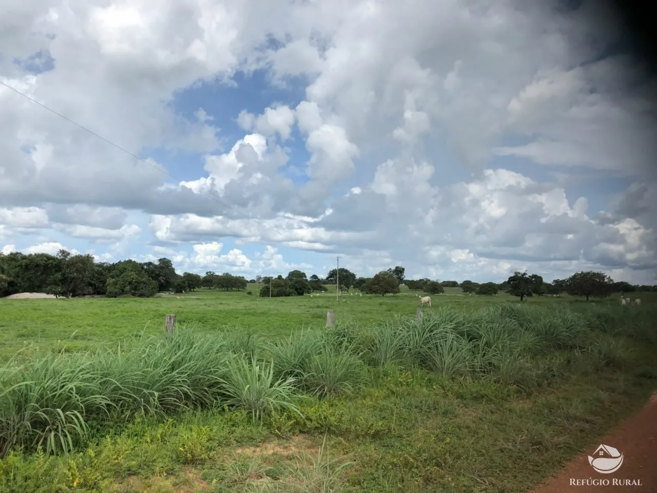 Fazenda à venda e para Arrendar de 3.678 ha em Gurupi, TO, Brasil