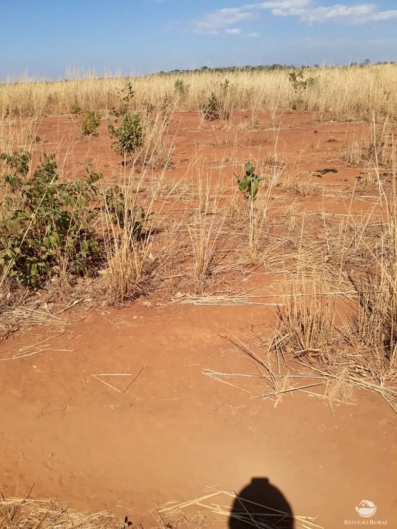 Fazenda à venda e para Arrendar de 3.678 ha em Gurupi, TO, Brasil
