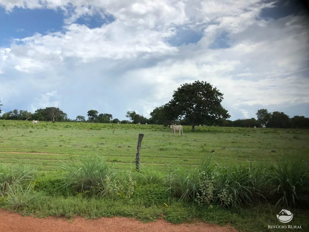 Fazenda à venda e para Arrendar de 3.678 ha em Gurupi, TO, Brasil