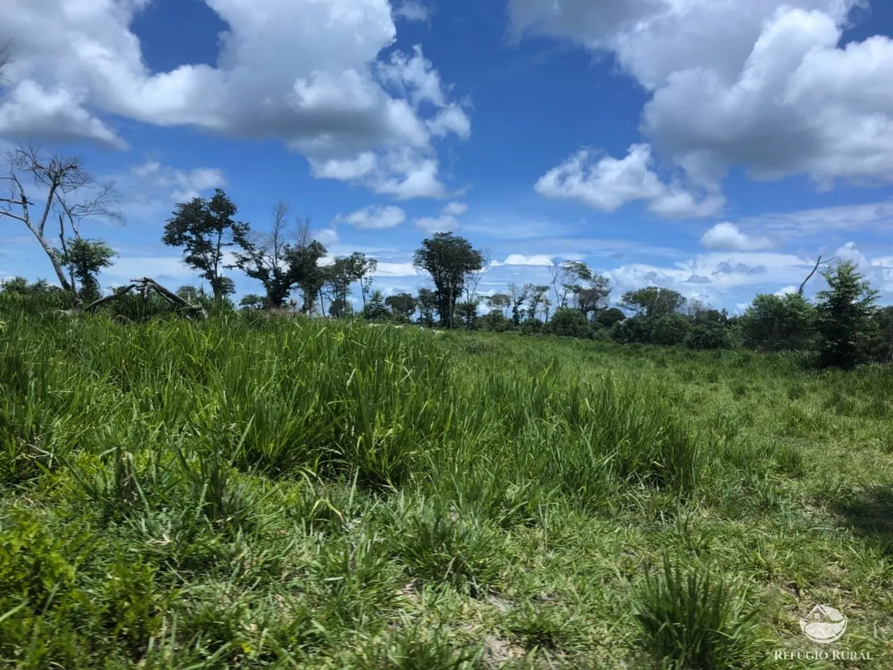 Fazenda à venda e para Arrendar de 3.678 ha em Gurupi, TO, Brasil