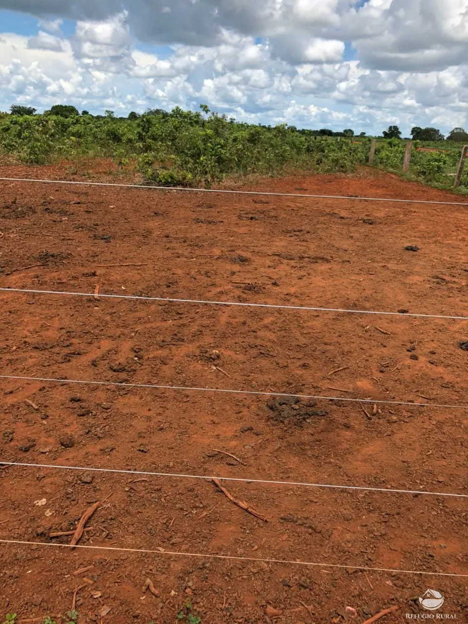 Fazenda à venda e para Arrendar de 3.678 ha em Gurupi, TO, Brasil