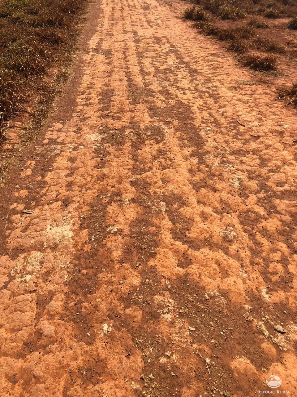 Fazenda à venda e para Arrendar de 3.678 ha em Gurupi, TO, Brasil