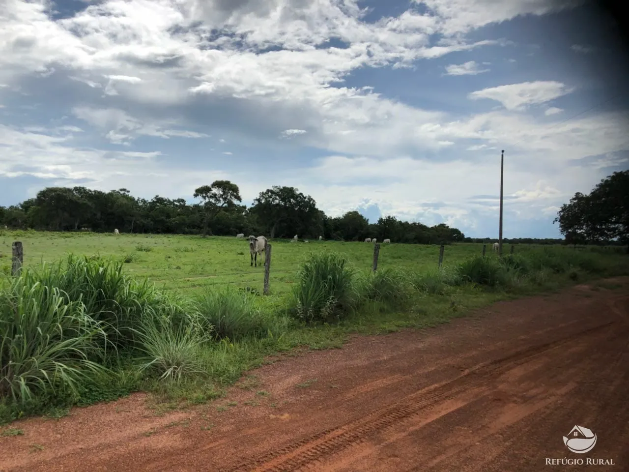 Fazenda à venda e para Arrendar de 3.678 ha em Gurupi, TO, Brasil