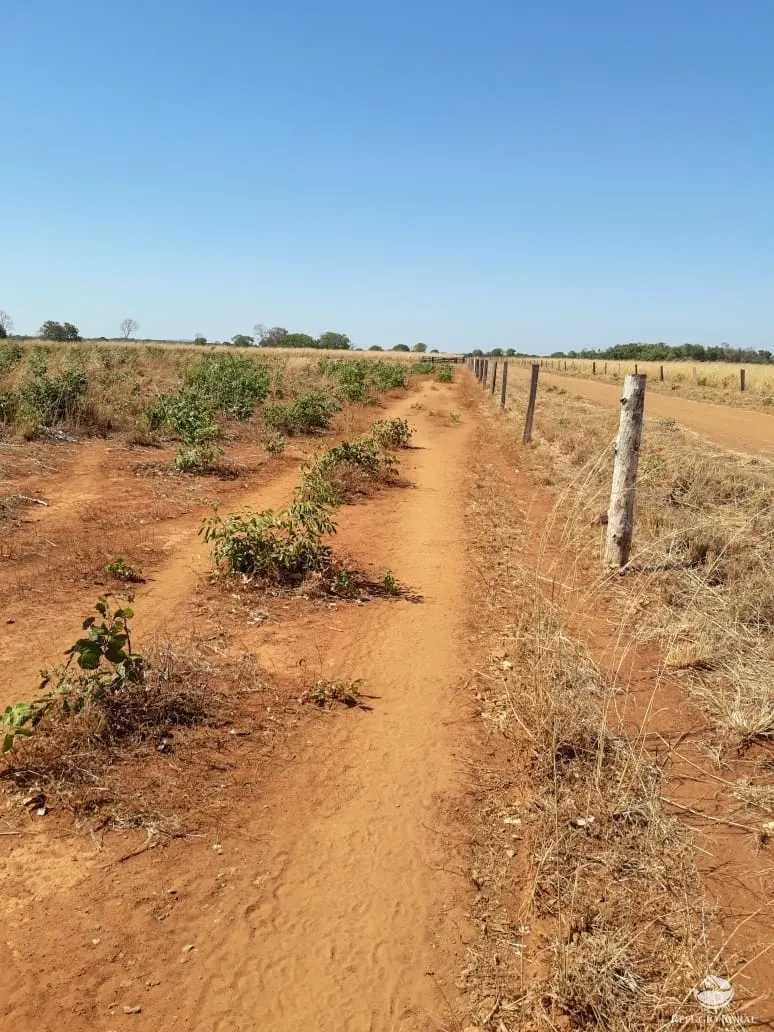 Fazenda à venda e para Arrendar de 3.678 ha em Gurupi, TO, Brasil