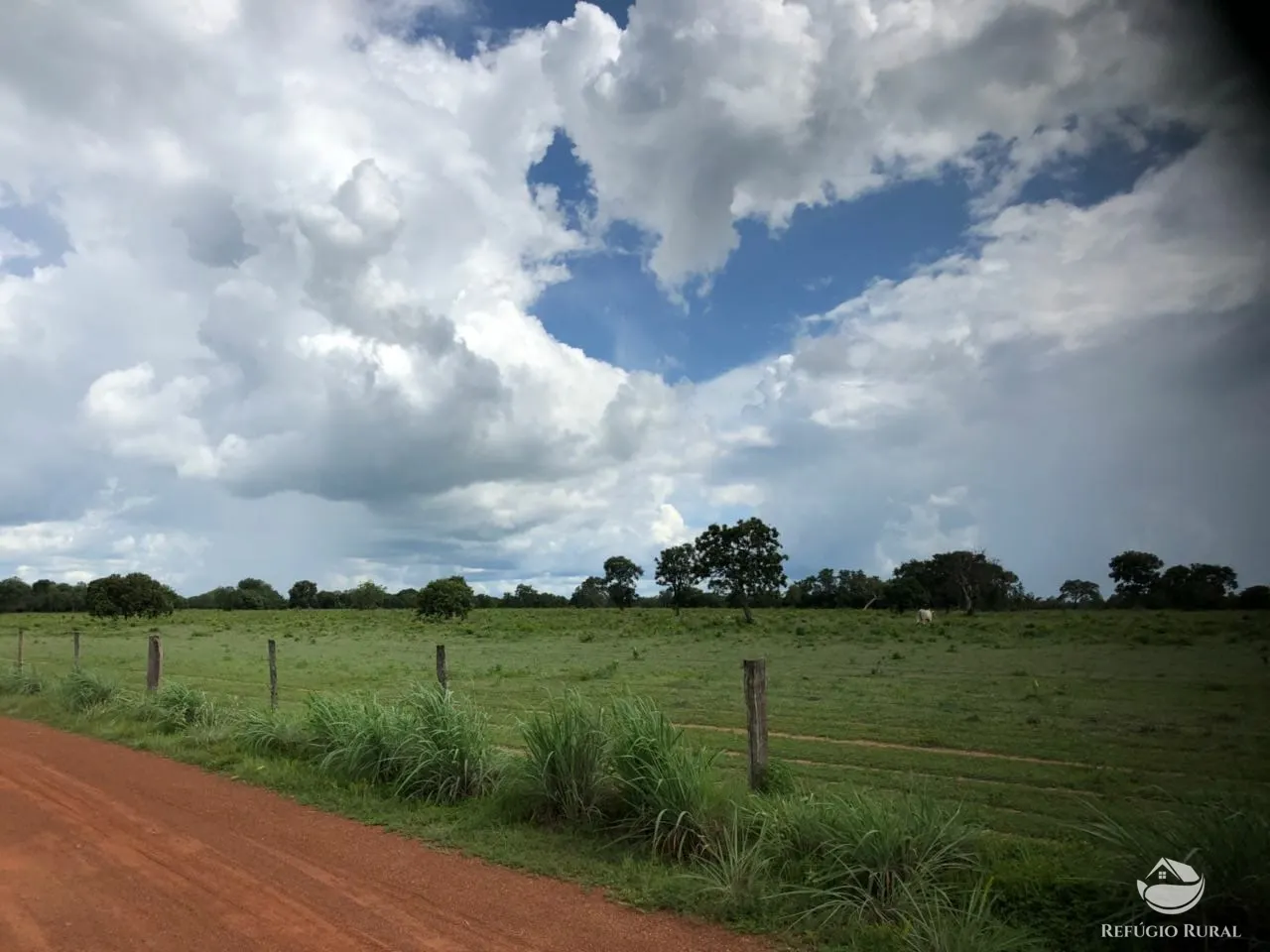 Fazenda à venda e para Arrendar de 3.678 ha em Gurupi, TO, Brasil