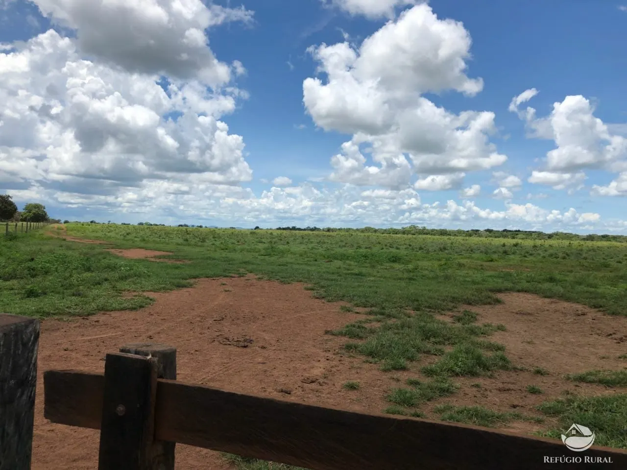 Fazenda à venda e para Arrendar de 3.678 ha em Gurupi, TO, Brasil