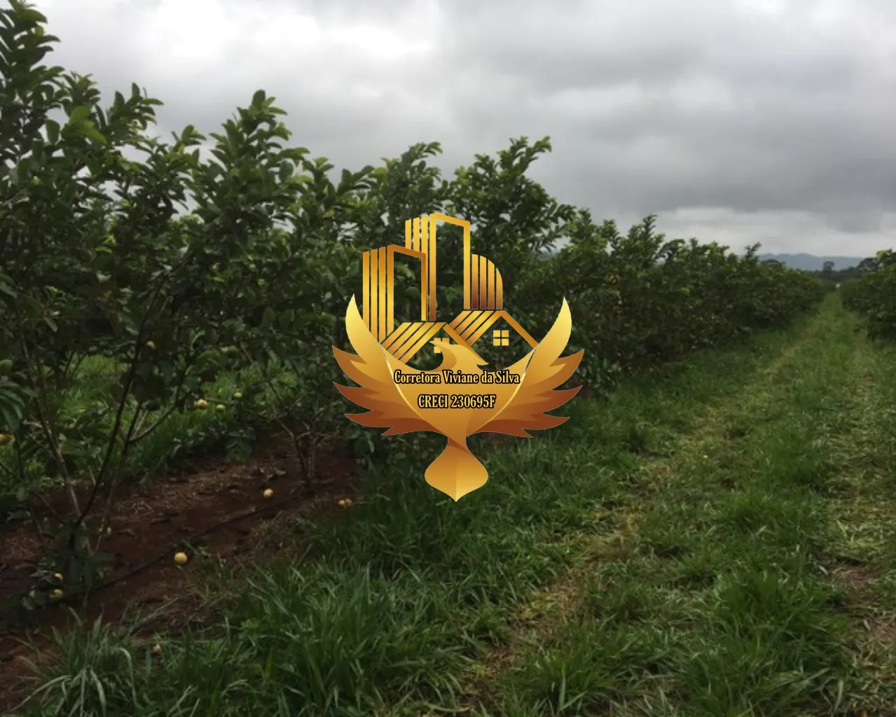 Small farm for sale of 30 acres in Goiânia, GO, Brazil