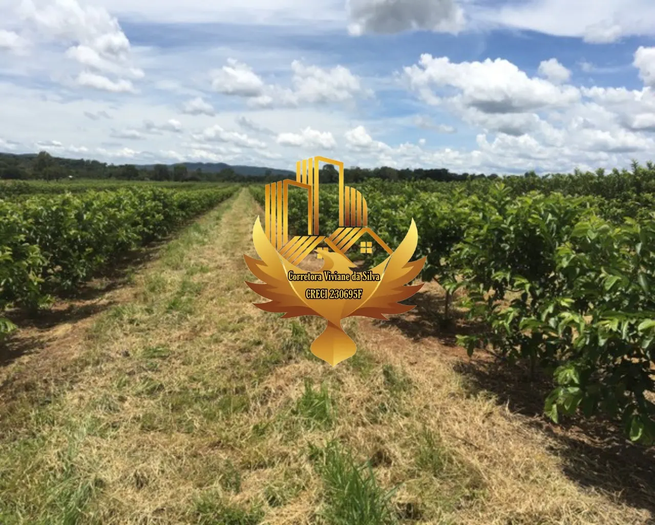 Small farm for sale of 30 acres in Goiânia, GO, Brazil