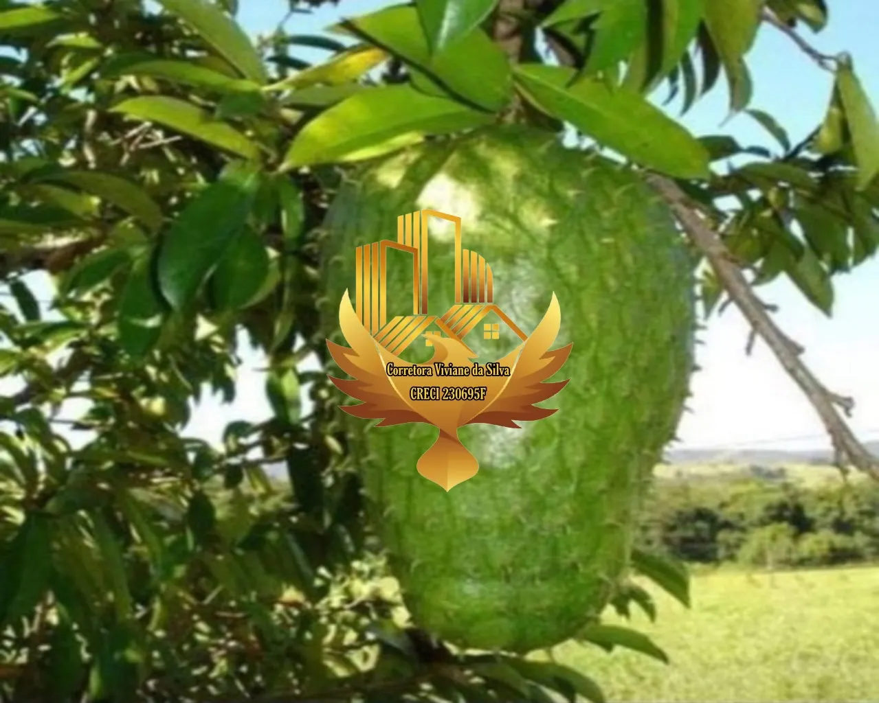 Small farm for sale of 30 acres in Goiânia, GO, Brazil