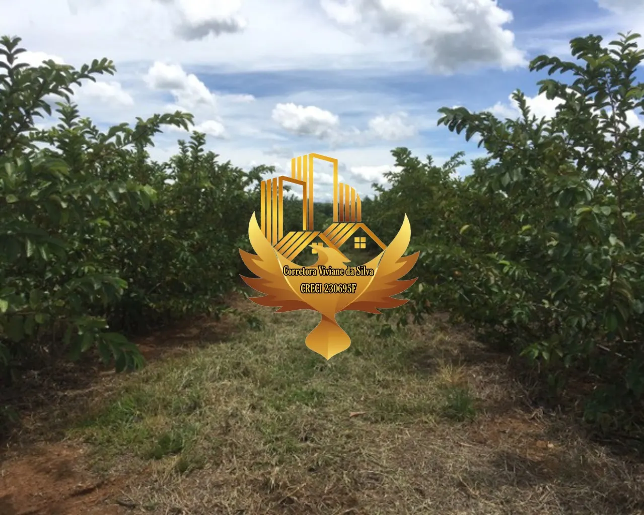 Small farm for sale of 30 acres in Goiânia, GO, Brazil