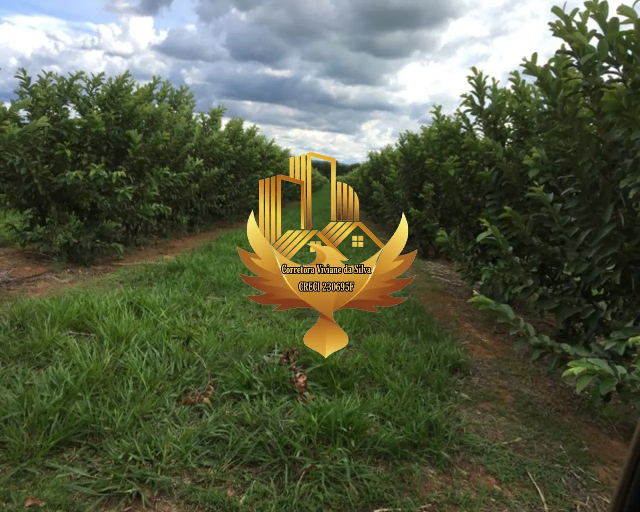 Small farm for sale of 30 acres in Goiânia, GO, Brazil
