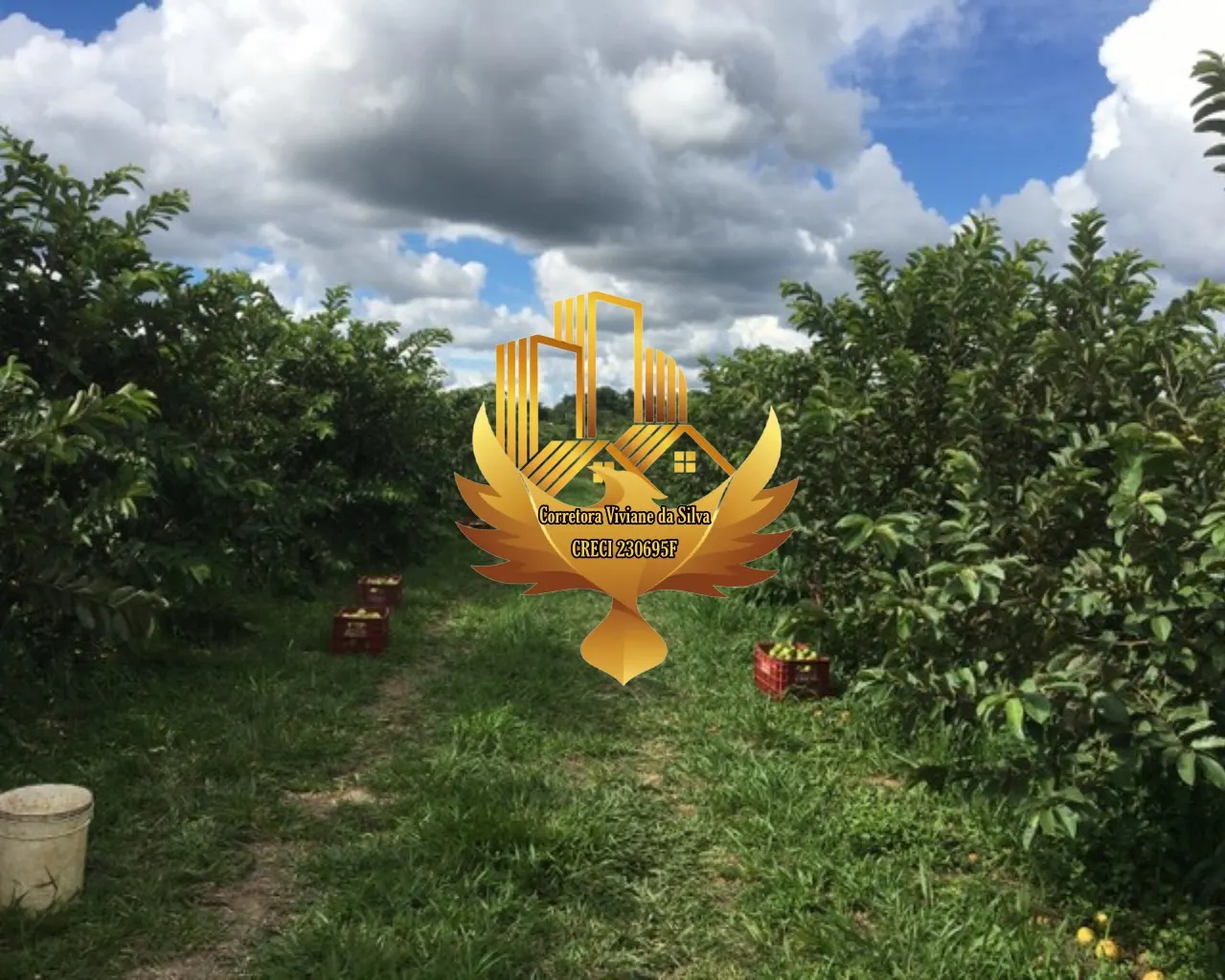 Small farm for sale of 30 acres in Goiânia, GO, Brazil