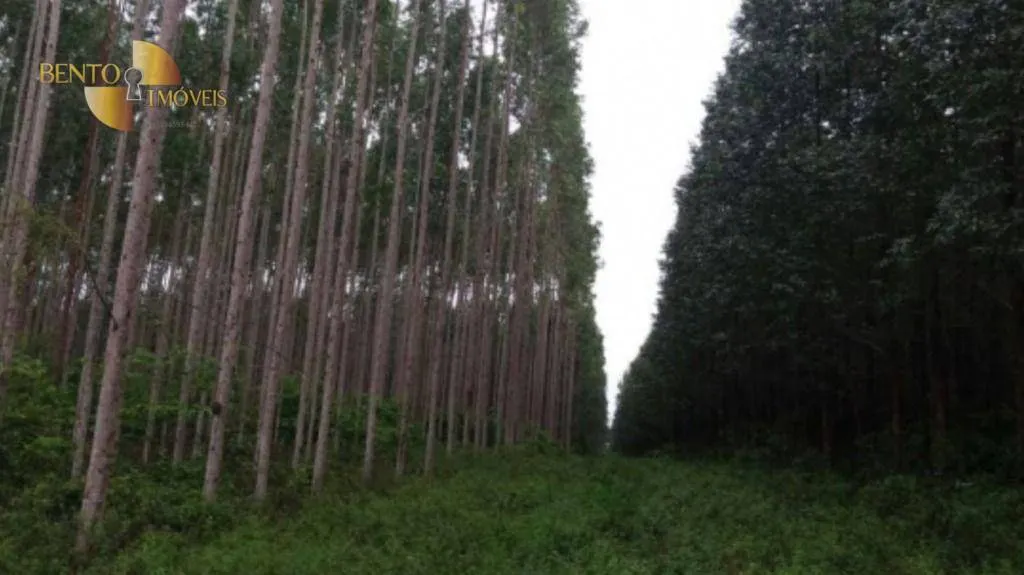 Fazenda à venda de 25.016 ha em São Félix do Xingu, PA, Brasil