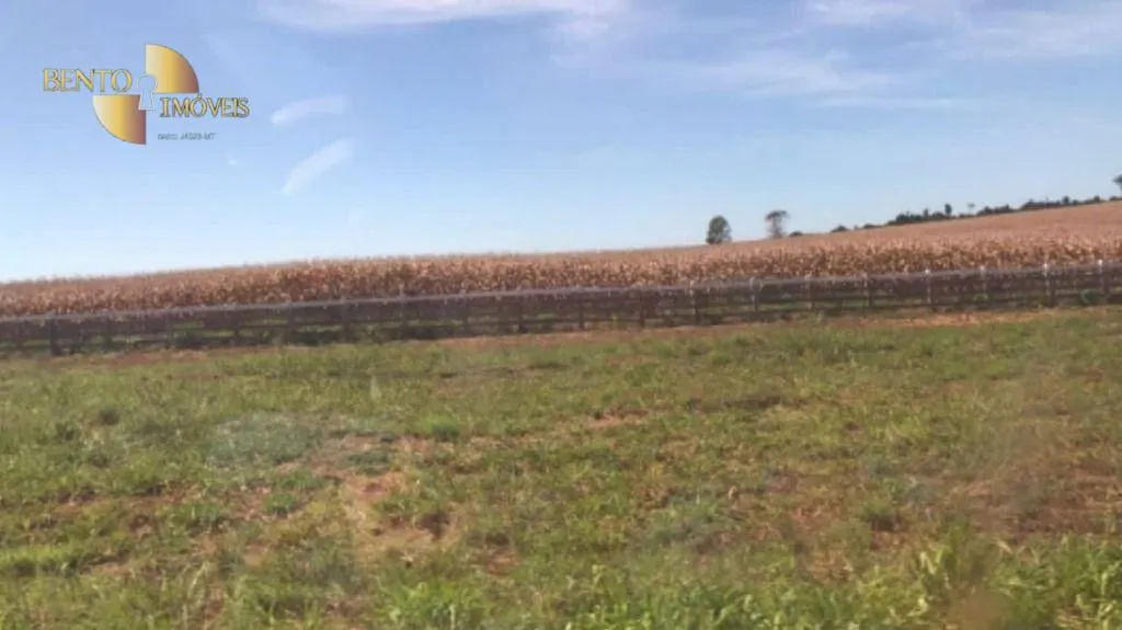 Fazenda à venda de 25.016 ha em São Félix do Xingu, PA, Brasil