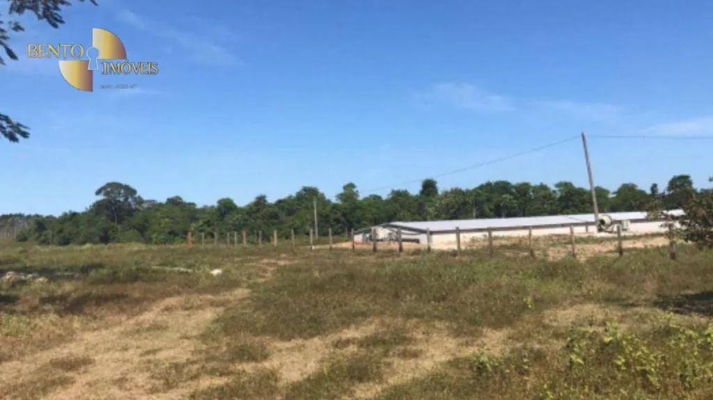 Fazenda à venda de 25.016 ha em São Félix do Xingu, PA, Brasil