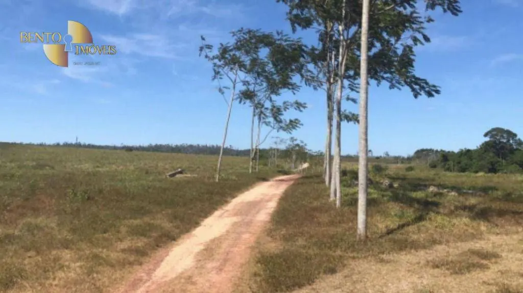 Fazenda à venda de 25.016 ha em São Félix do Xingu, PA, Brasil