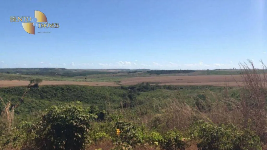 Fazenda à venda de 25.016 ha em São Félix do Xingu, PA, Brasil