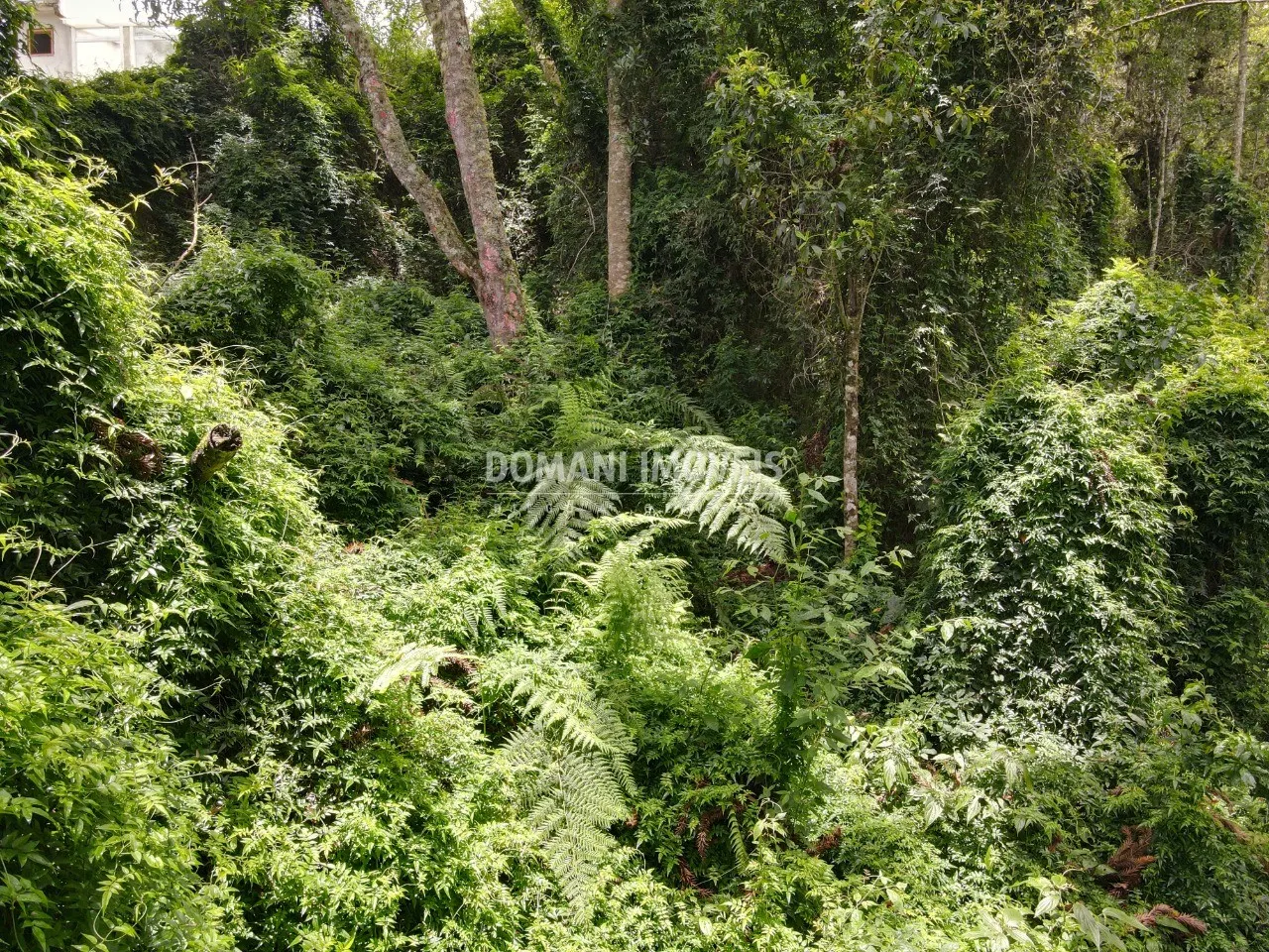 Plot for sale of 2,130 m² in Campos do Jordão, SP, Brazil