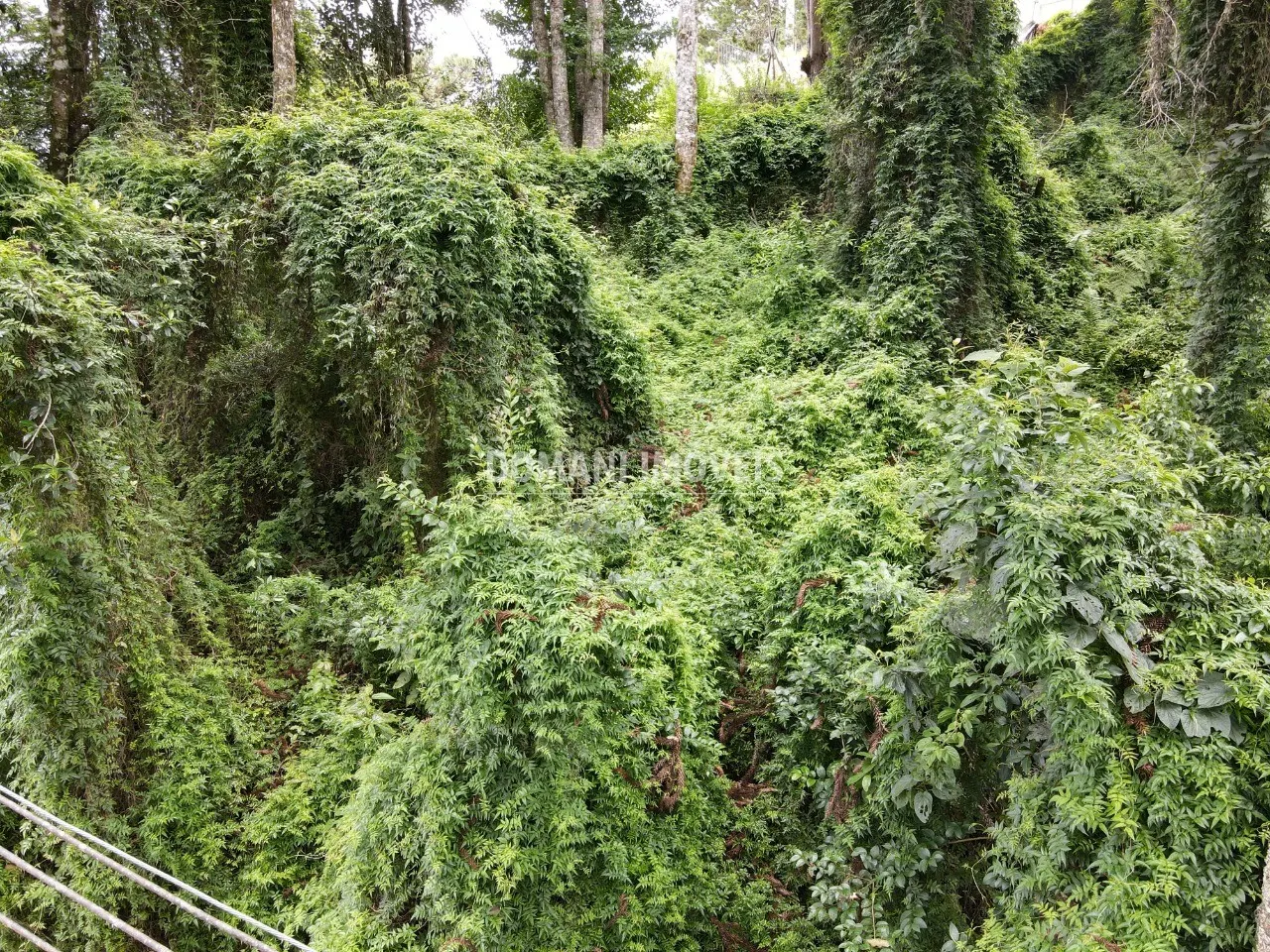 Plot for sale of 2,130 m² in Campos do Jordão, SP, Brazil