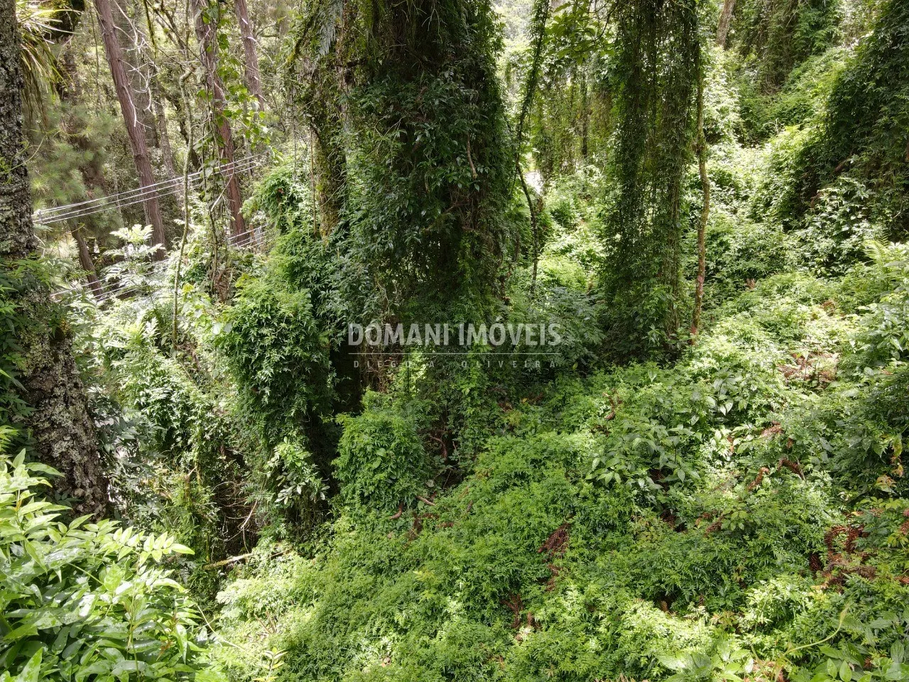Plot for sale of 2,130 m² in Campos do Jordão, SP, Brazil