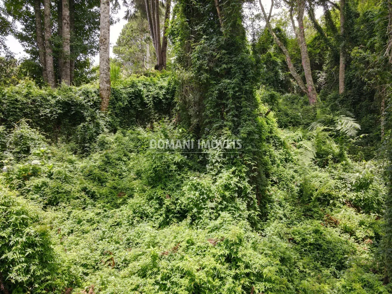 Plot for sale of 2,130 m² in Campos do Jordão, SP, Brazil