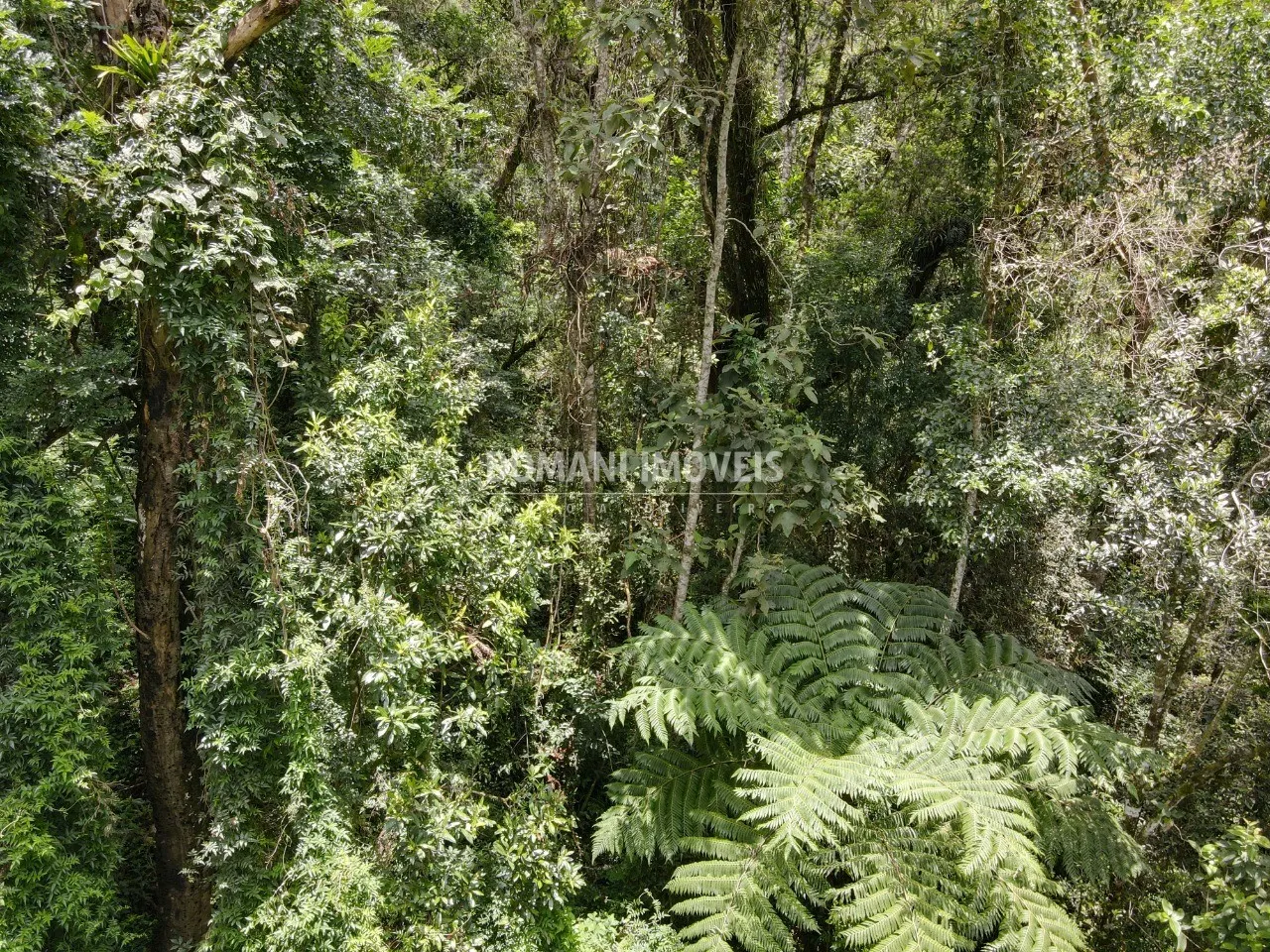 Plot for sale of 2,130 m² in Campos do Jordão, SP, Brazil