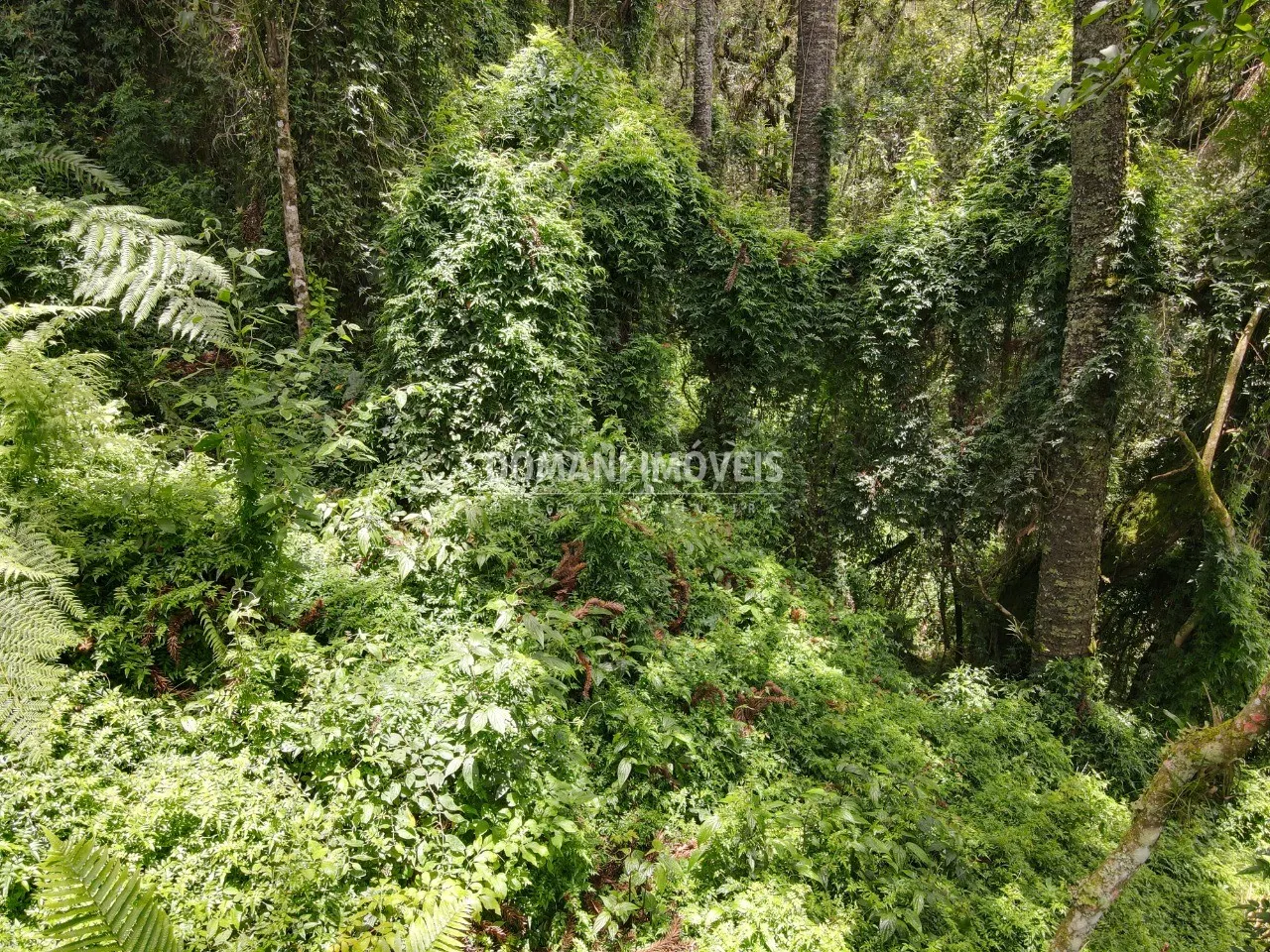 Plot for sale of 2,130 m² in Campos do Jordão, SP, Brazil