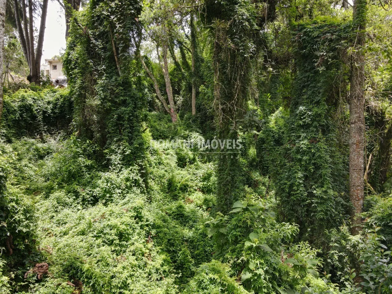 Plot for sale of 2,130 m² in Campos do Jordão, SP, Brazil