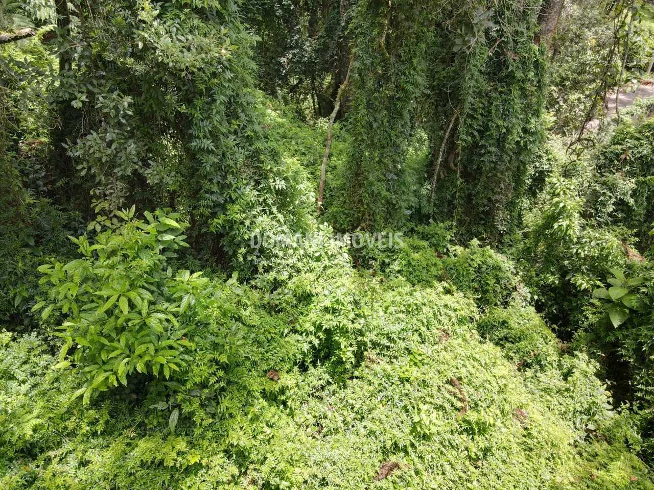 Plot for sale of 2,130 m² in Campos do Jordão, SP, Brazil