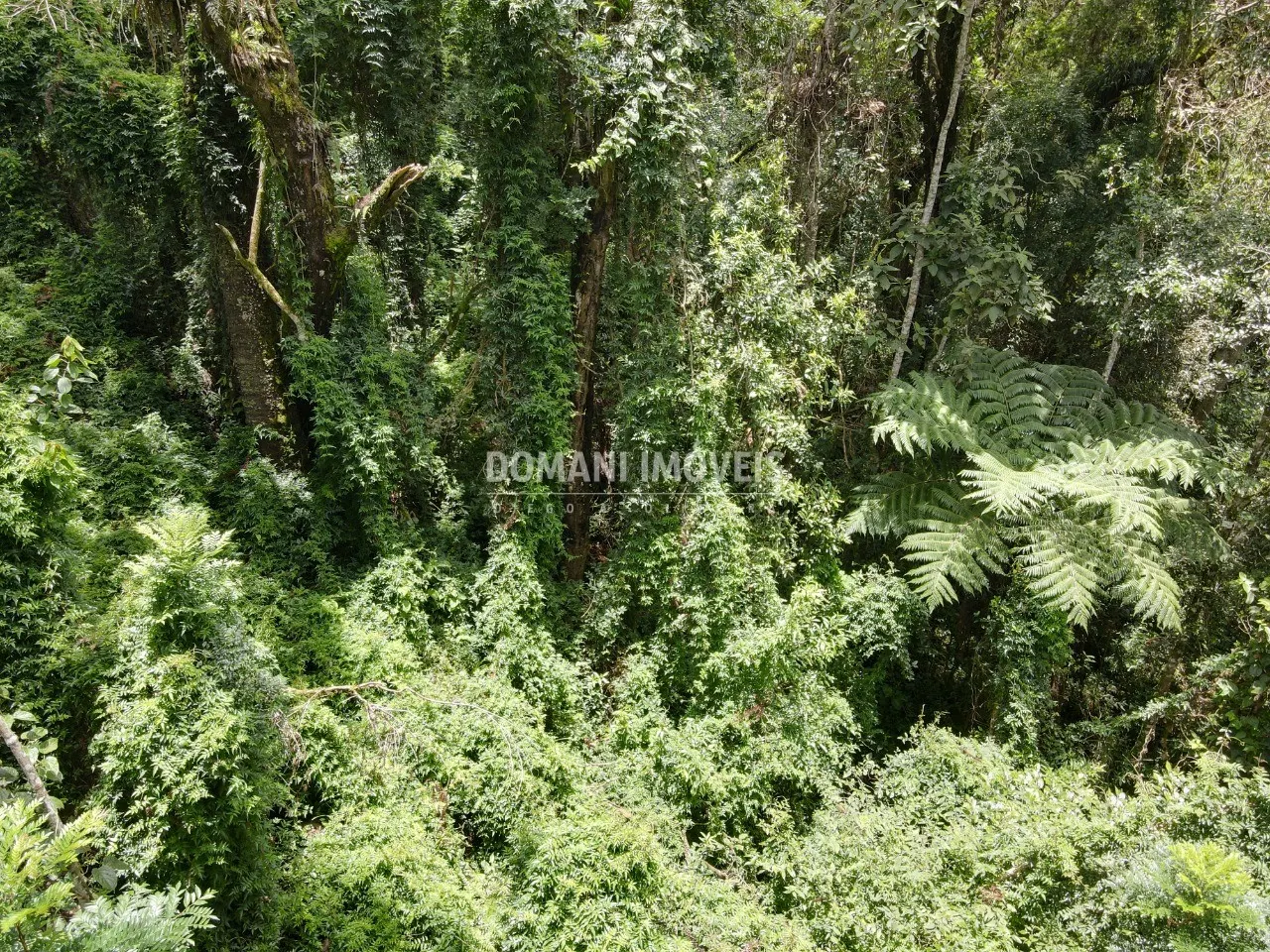 Plot for sale of 2,130 m² in Campos do Jordão, SP, Brazil