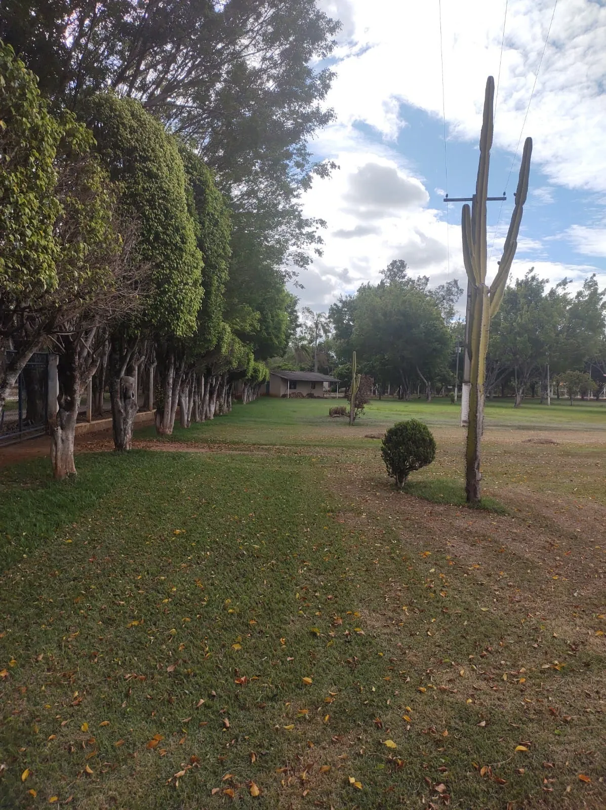 Sítio à venda de 19 ha em Quadra, SP, Brasil