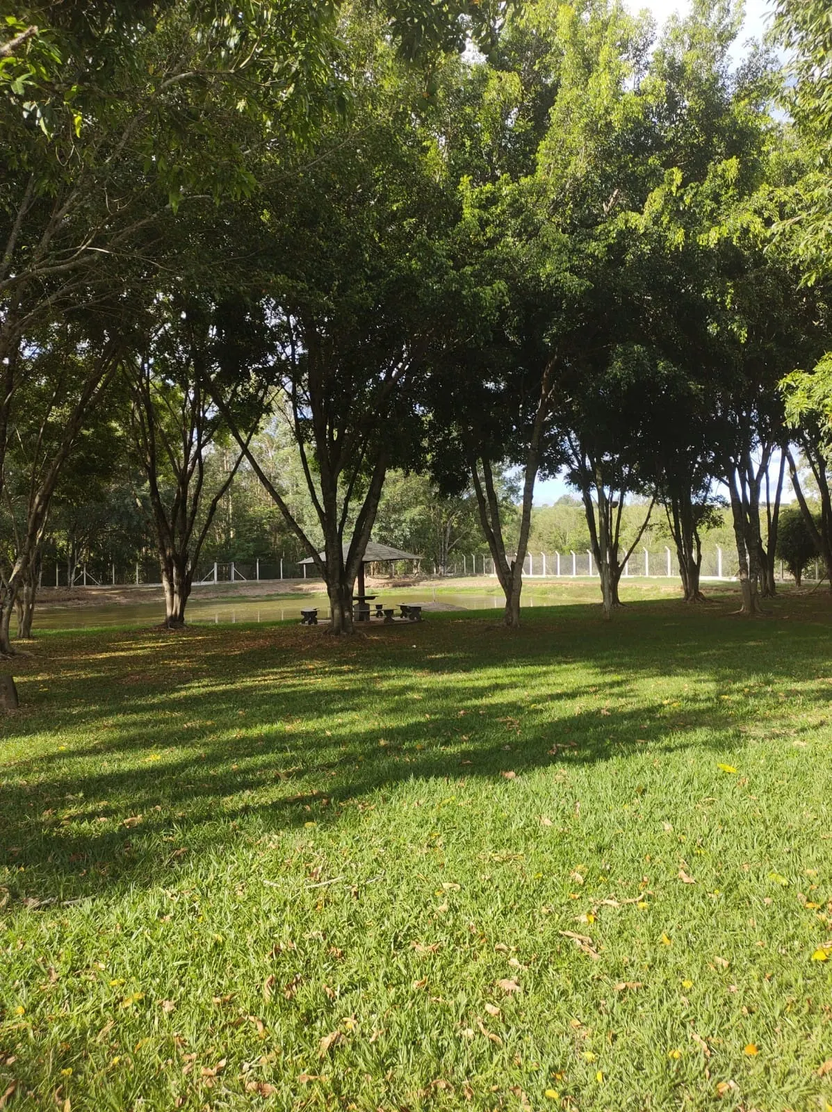 Sítio à venda de 19 ha em Quadra, SP, Brasil