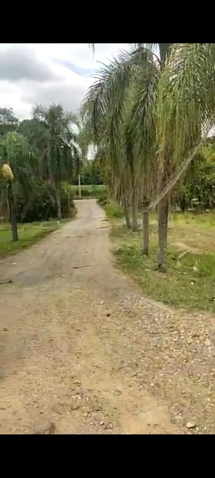 Sítio à venda de 19 ha em Quadra, SP, Brasil