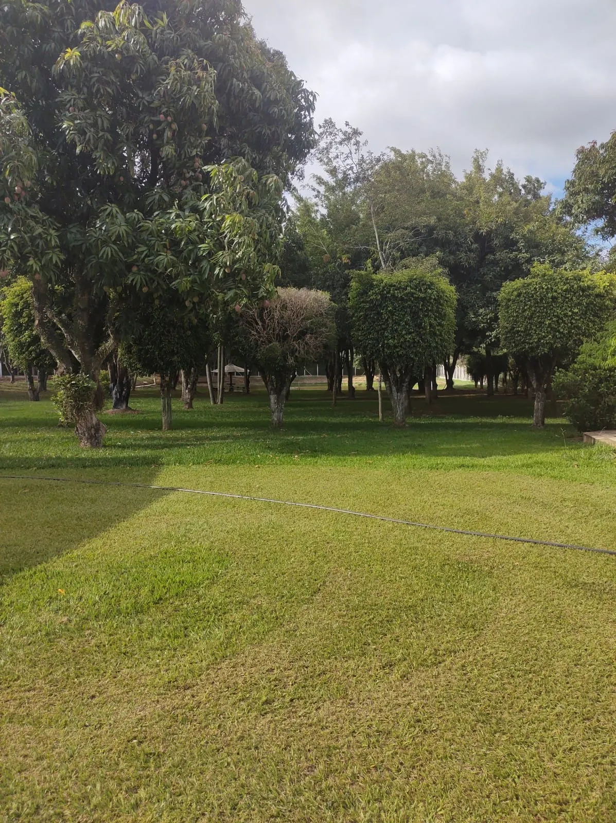 Sítio à venda de 19 ha em Quadra, SP, Brasil