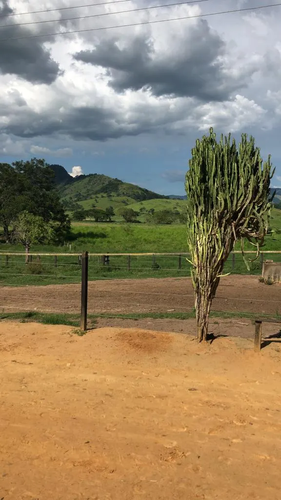 Fazenda à venda de 726 ha em Apiacá, ES, Brasil