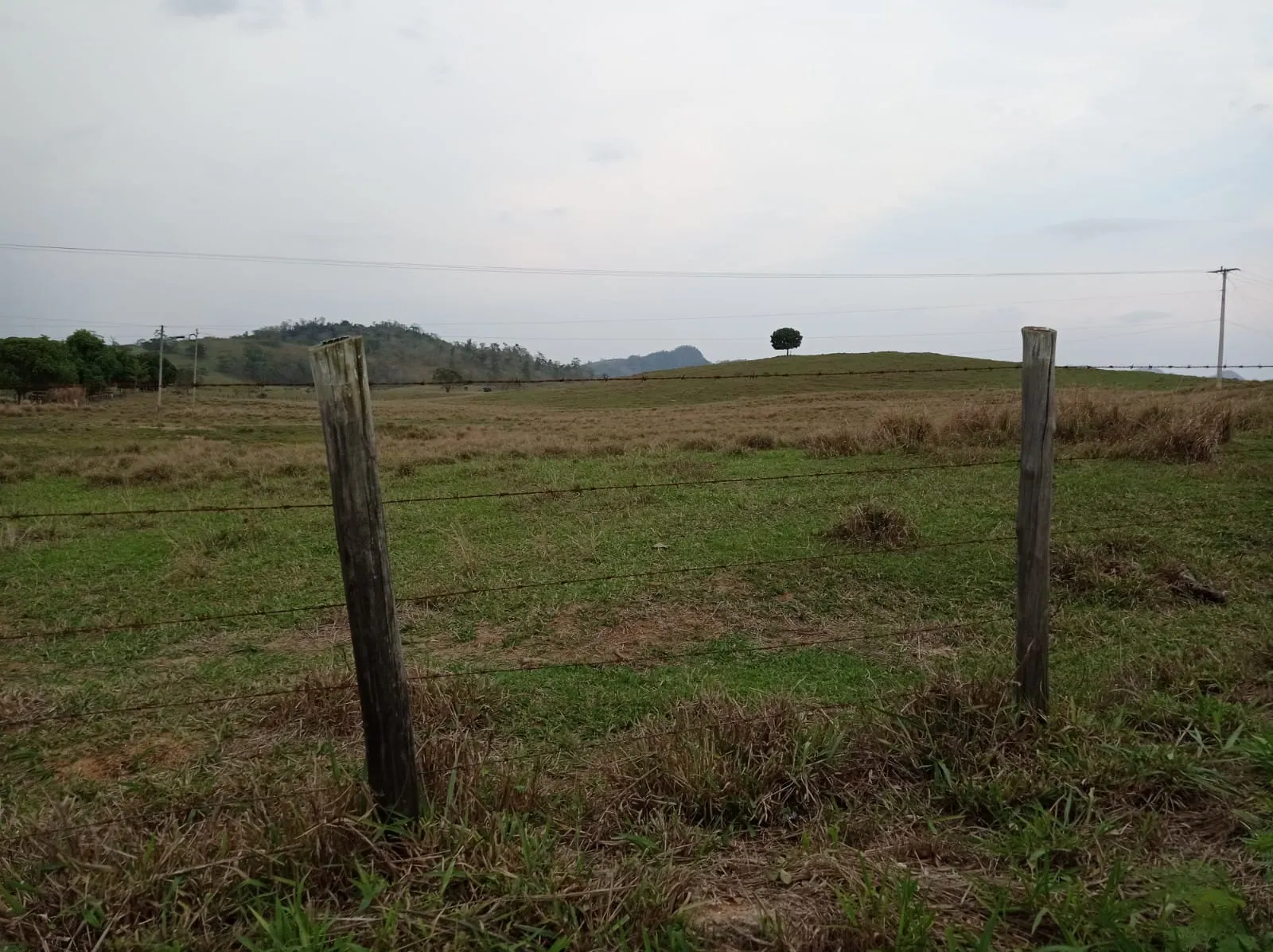 Fazenda à venda de 726 ha em Apiacá, ES, Brasil