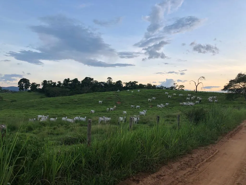 Fazenda à venda de 726 ha em Apiacá, ES, Brasil