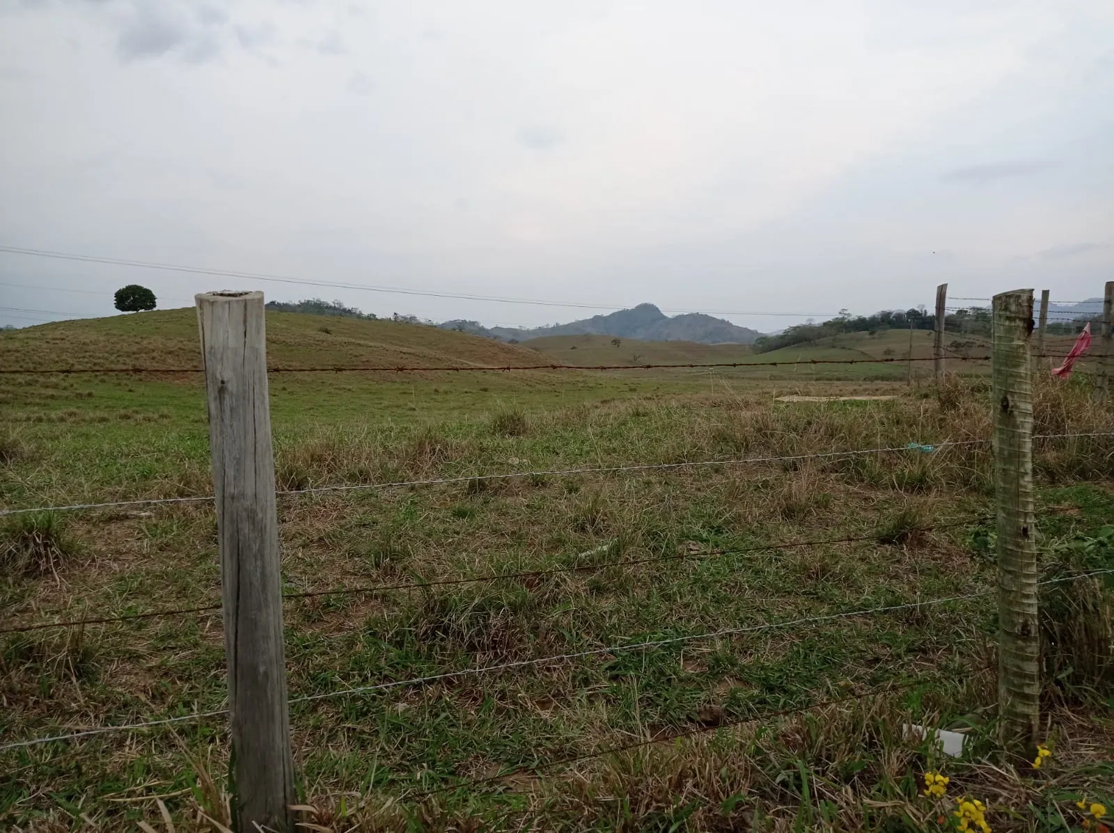 Fazenda à venda de 726 ha em Apiacá, ES, Brasil