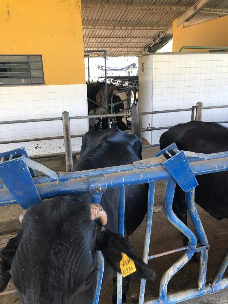 Fazenda à venda de 726 ha em Apiacá, ES, Brasil