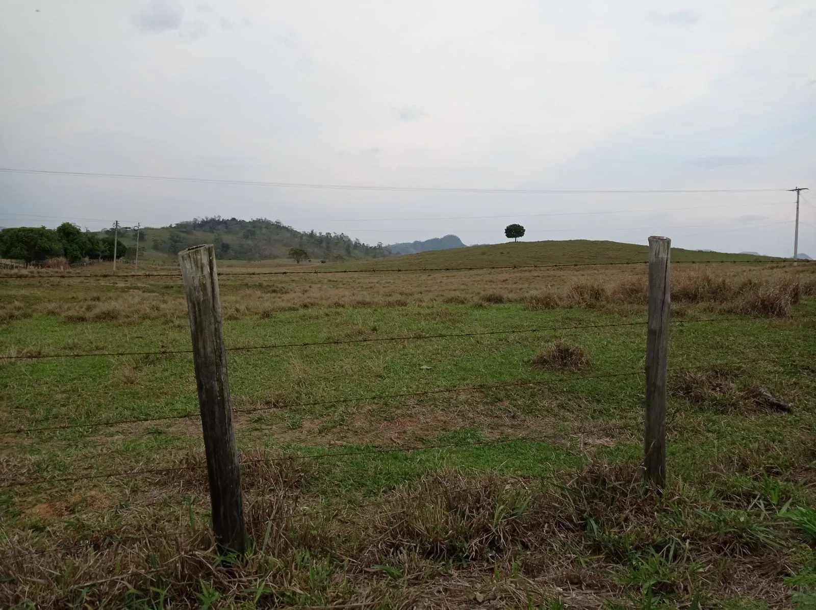 Fazenda à venda de 726 ha em Apiacá, ES, Brasil