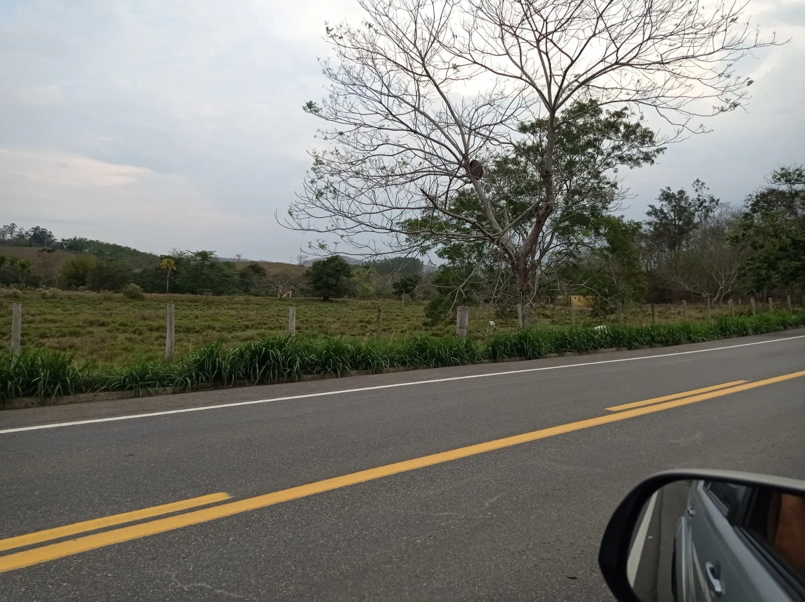 Fazenda à venda de 726 ha em Apiacá, ES, Brasil