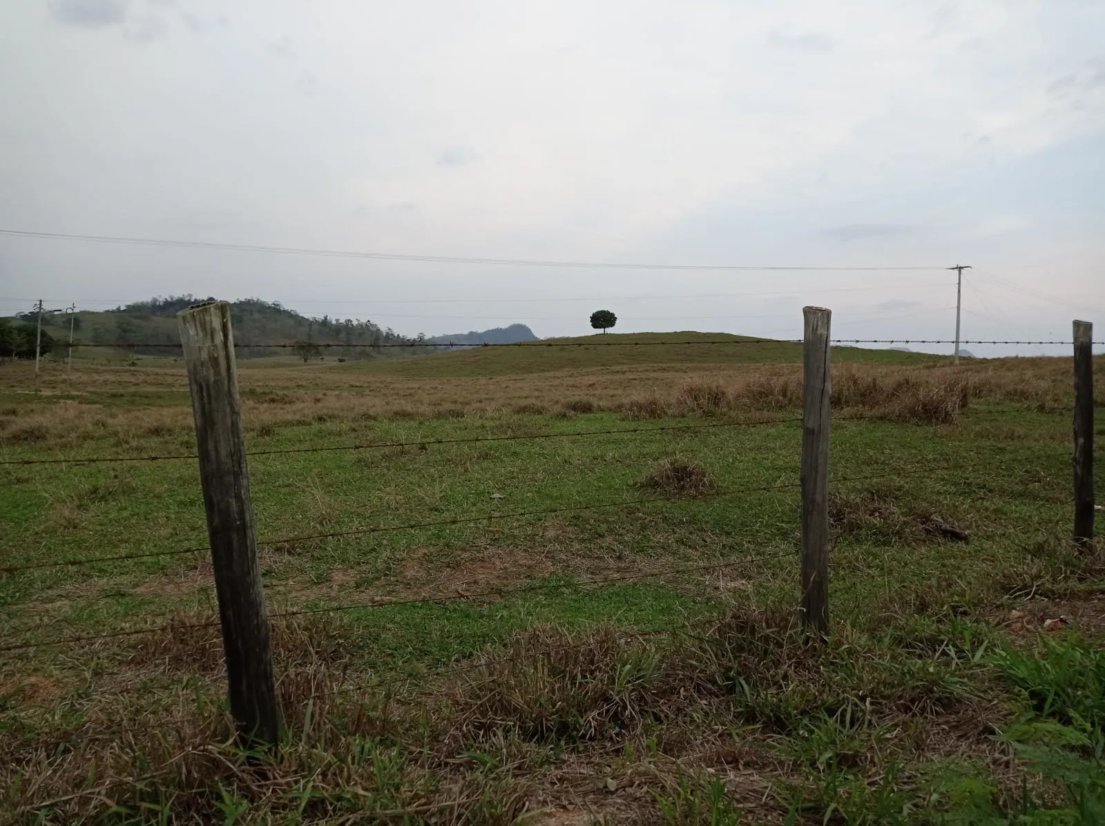 Fazenda à venda de 726 ha em Apiacá, ES, Brasil
