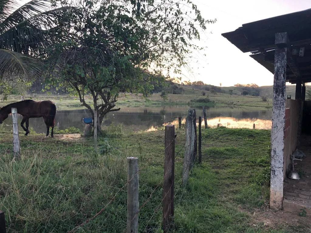 Fazenda à venda de 726 ha em Apiacá, ES, Brasil