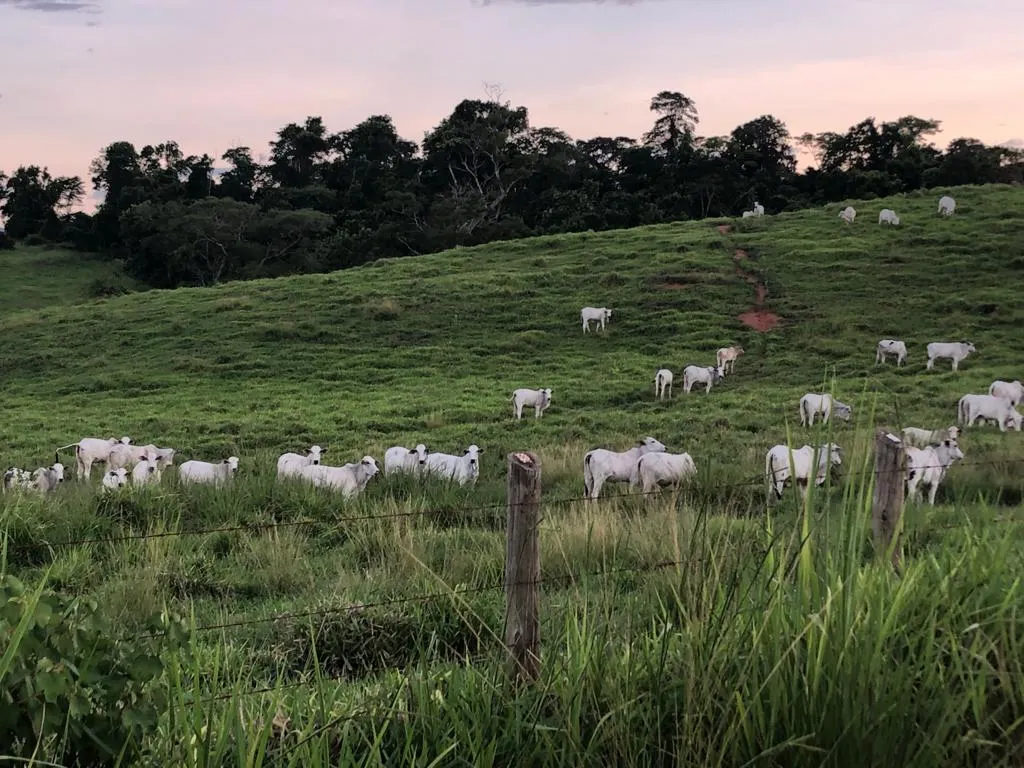 Fazenda à venda de 726 ha em Apiacá, ES, Brasil