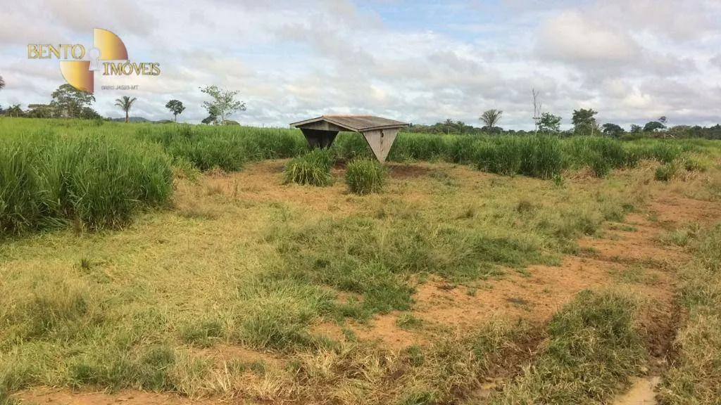 Farm for sale of 2,691 acres in Nova Bandeirantes, MT, Brazil